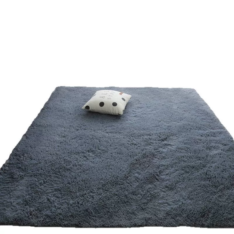 加厚超柔型丝毛客厅卧室飘窗休闲少女床边房间大面积满铺地毯地垫