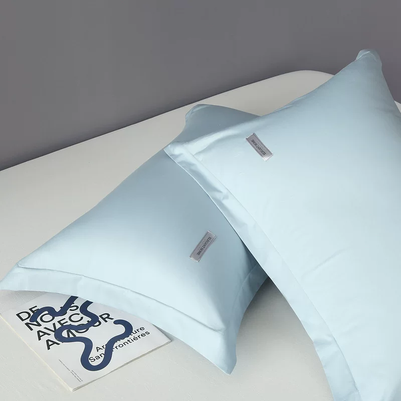 A类新疆长绒棉100支全棉枕套单只装纯棉家用单人高级感枕芯内胆套