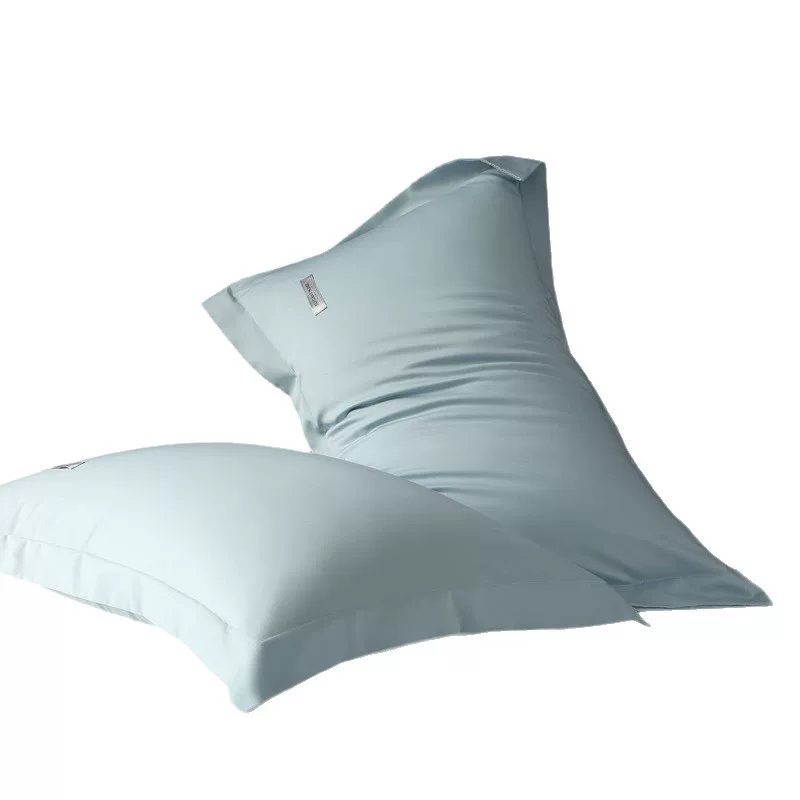 A类新疆长绒棉100支全棉枕套单只装纯棉家用单人高级感枕芯内胆套