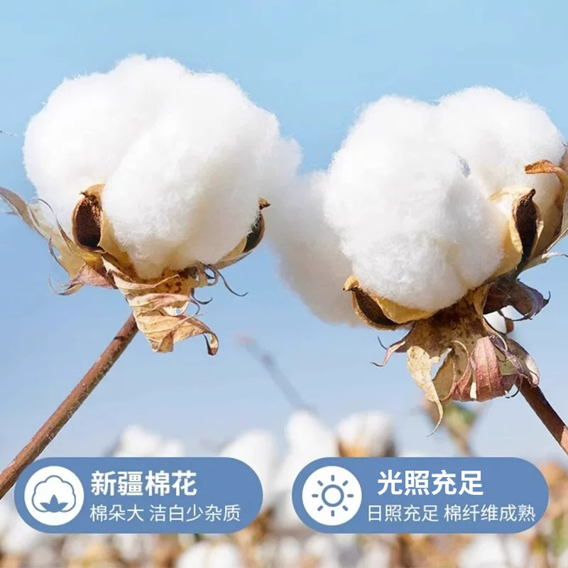 无印风春夏纯色全棉轻奢被套单件水洗棉全棉被罩学生宿舍单双人